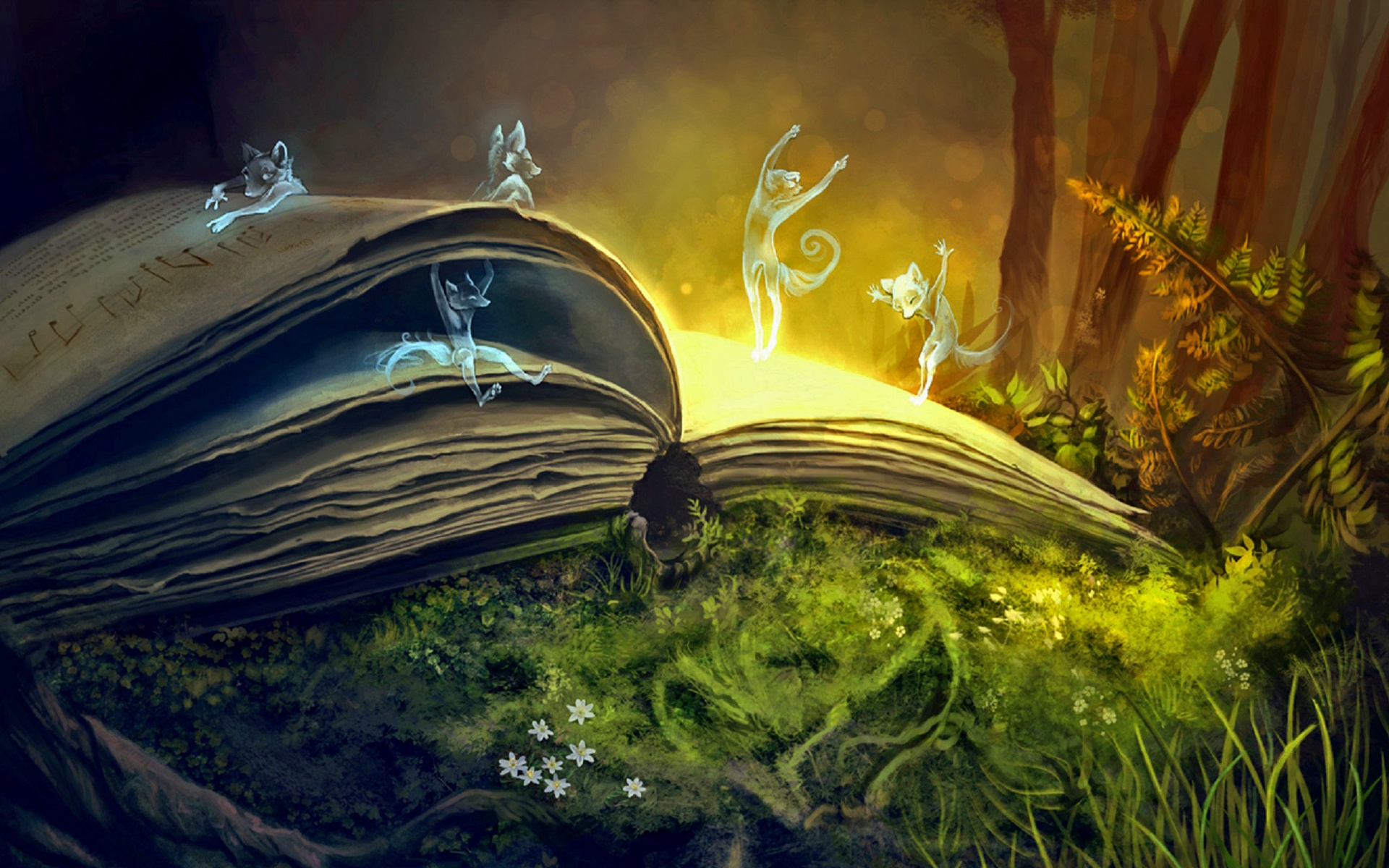 Les 10 meilleurs livres d'heroic fantasy pour adultes
