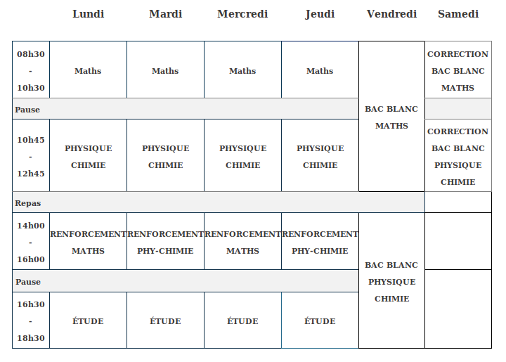 Emploi du temps stage intensif bac s